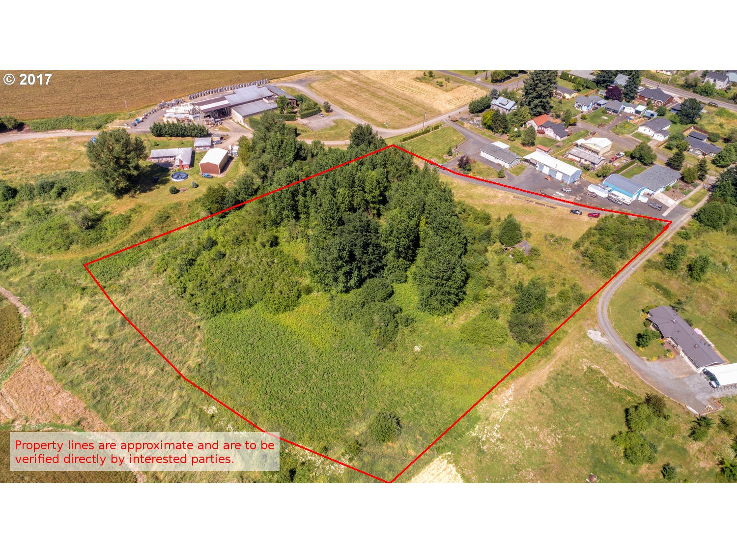 the Allegiant Realty Group - for sale 5 acres Carlton, Oregon by David Antinucci